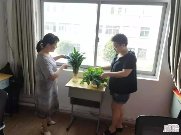 文明6：深度解析各难度级别，新手至老手如何选择合适挑战难度