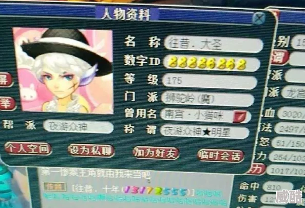深度解析梦幻西游175级狮驼岭角色装备与技能展示